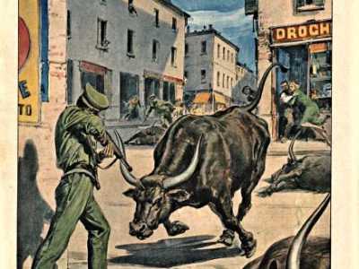 Facciamo ora un salto di 26 anni per arrivare al 22 luglio 1951, quando il giornale riport� la notizia di quattro bisonti che seminarono il panico a Bari. Durante il trasporto al macello le bestie si inferocirono, liberandosi e correndo all�impazzata per le strade della citt�. A fermare gli animali fu il tenente di polizia Mario Degli Effetti